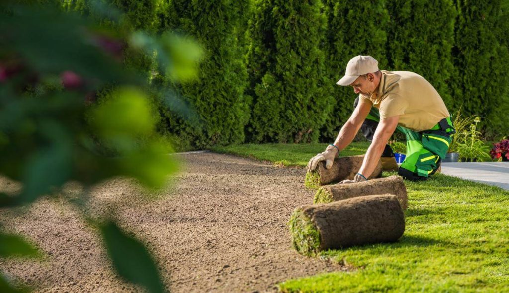 Landscaping Services Dublin