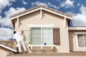 24 Hour Painters Dublin