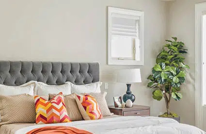 office painting services Dublin